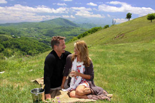 Banner Elk Winery & Villa Romantic Picnic